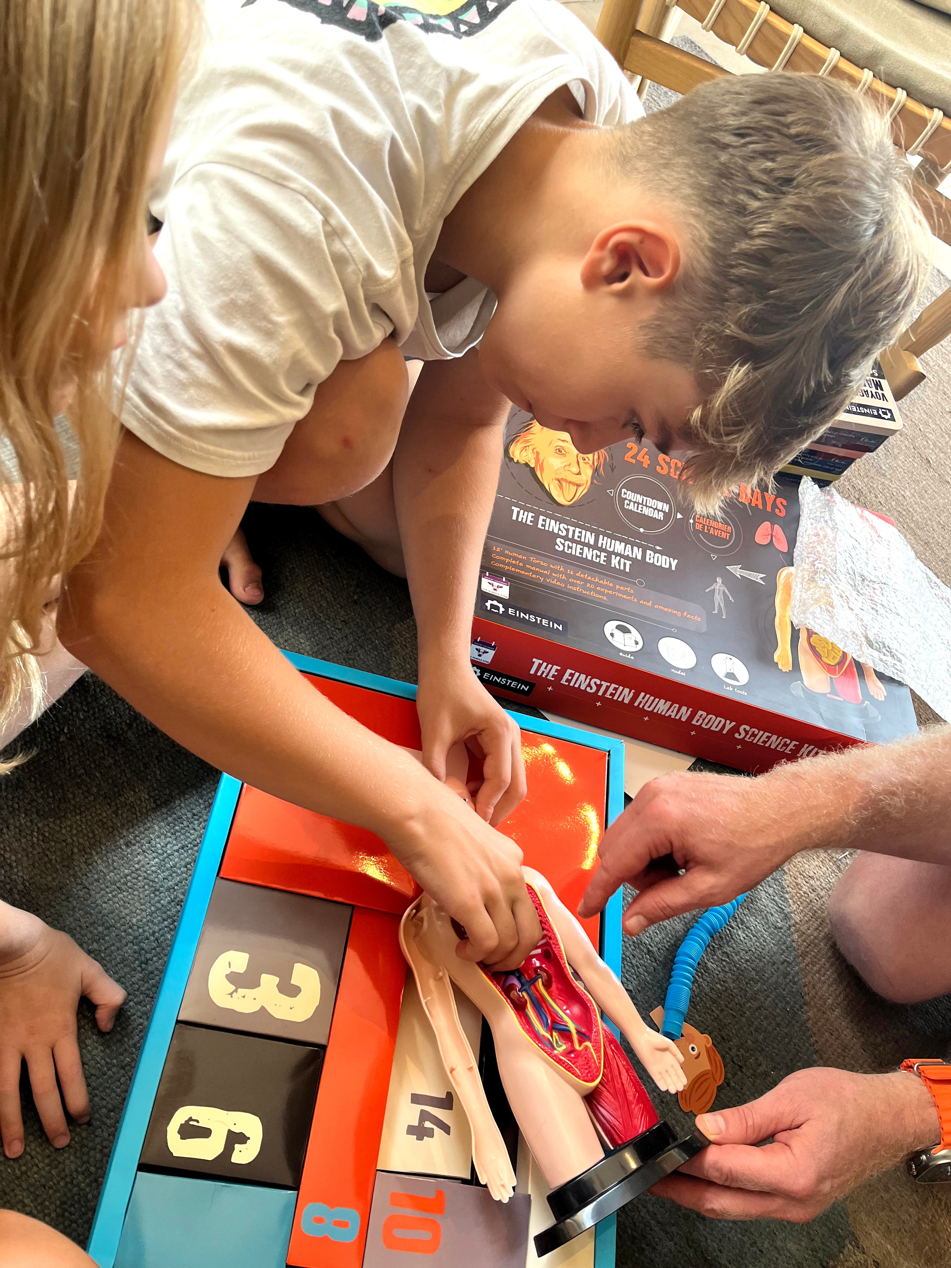 Countdown Calendar - Einstein Human Body Science Kit