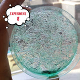 Einstein Science Lab - Crystal Craze