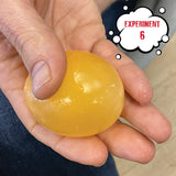 Einstein Science Lab - Crazy Egg Science